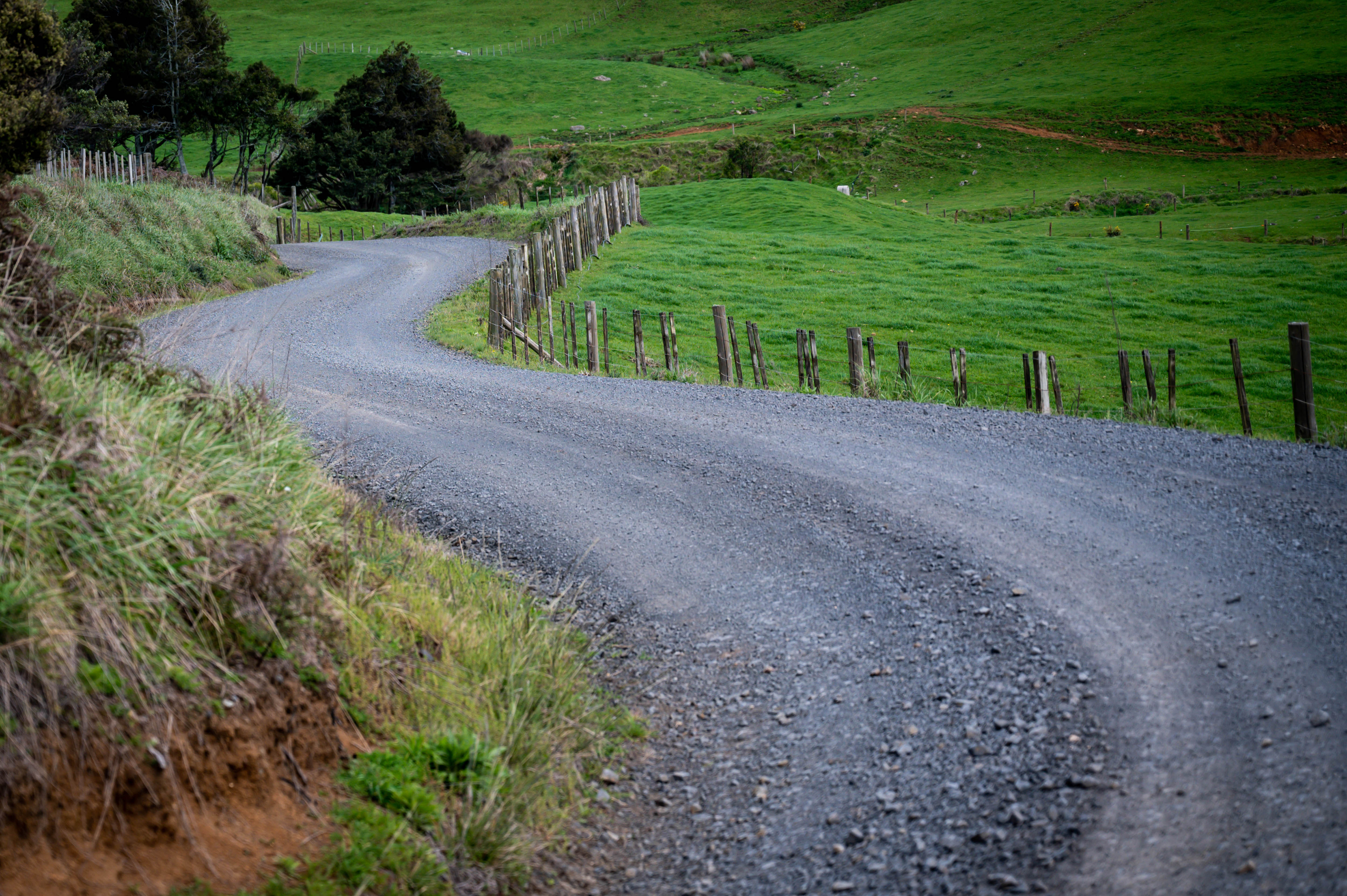 WRC_NEW_ZEALAND_GM_2022_09_27_009
