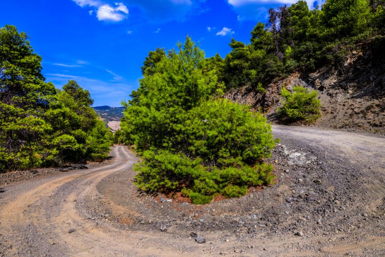 10_WRC_Acropolis_AL__069