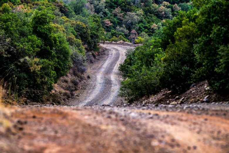 10_WRC_Acropolis_AL__073