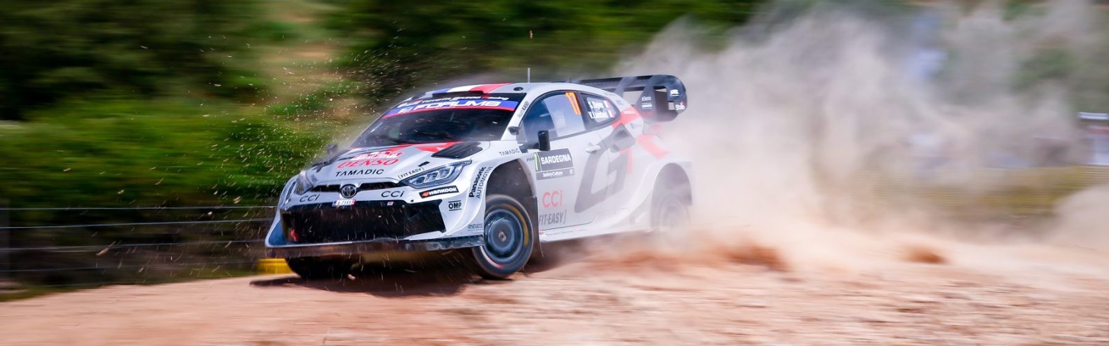 Ogier06ITA25cm160