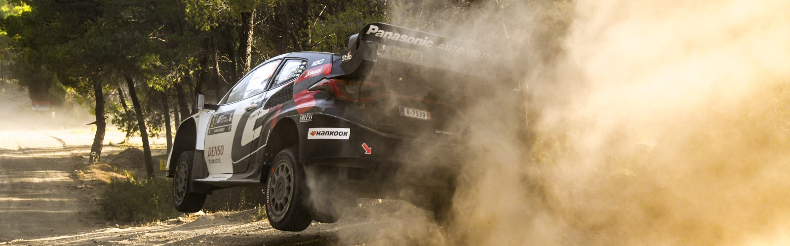 PAJARI07GRE25mr205