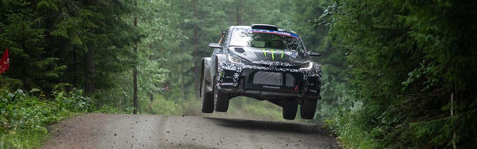 TGRWRT_FIN25_R2_-1036