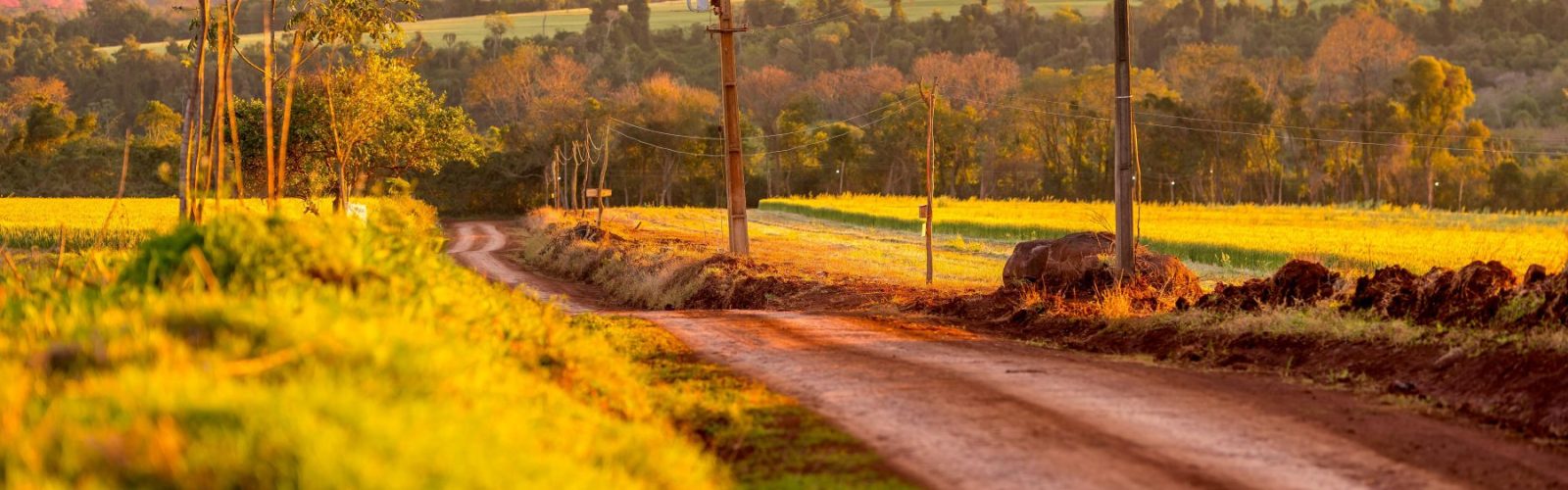 WhatsApp Image 2025-08-27 at 15.14.47