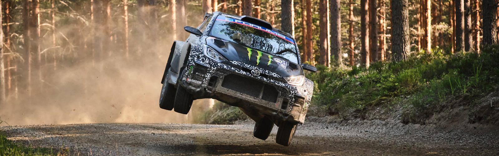 TGRWRT_FIN25_R2_DSF1845