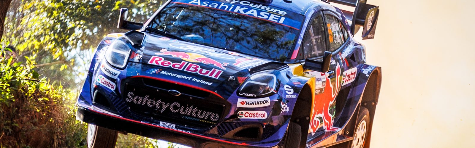 WRC_PAR_25_J_MCERLEAN_320