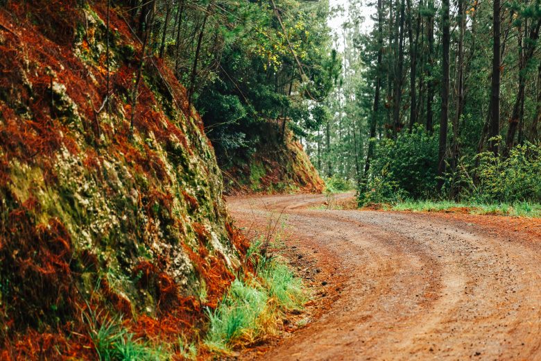 ATMOSPHERE11CHL25tb120