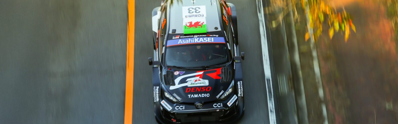 Evans13JPN25cm083 (1)