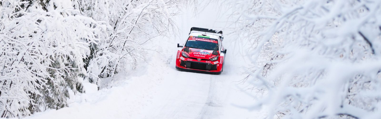 Taneli_Niinimaki-1265