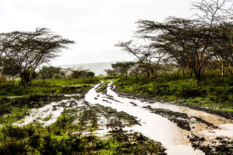 WRC_KEN_26_ATMOSPHERE_035