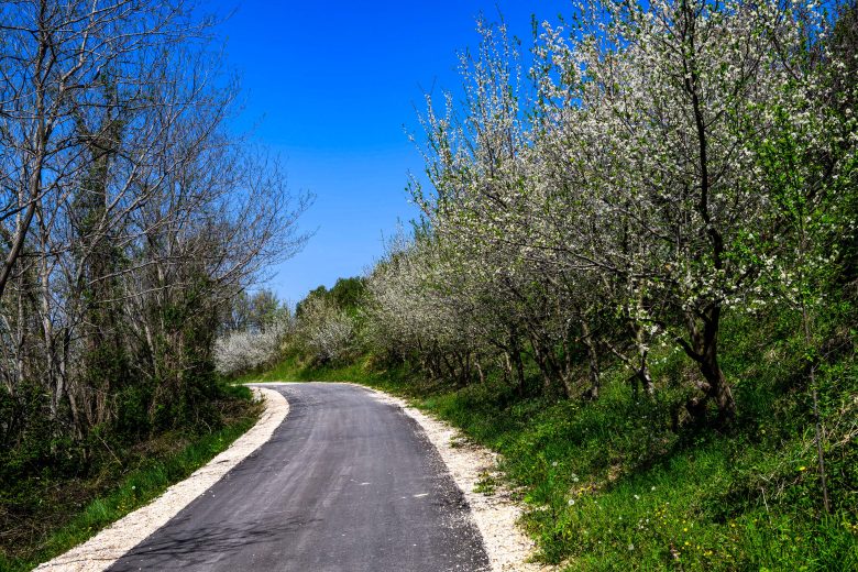 WRC_CRO_26_ATMOSPHERE_015