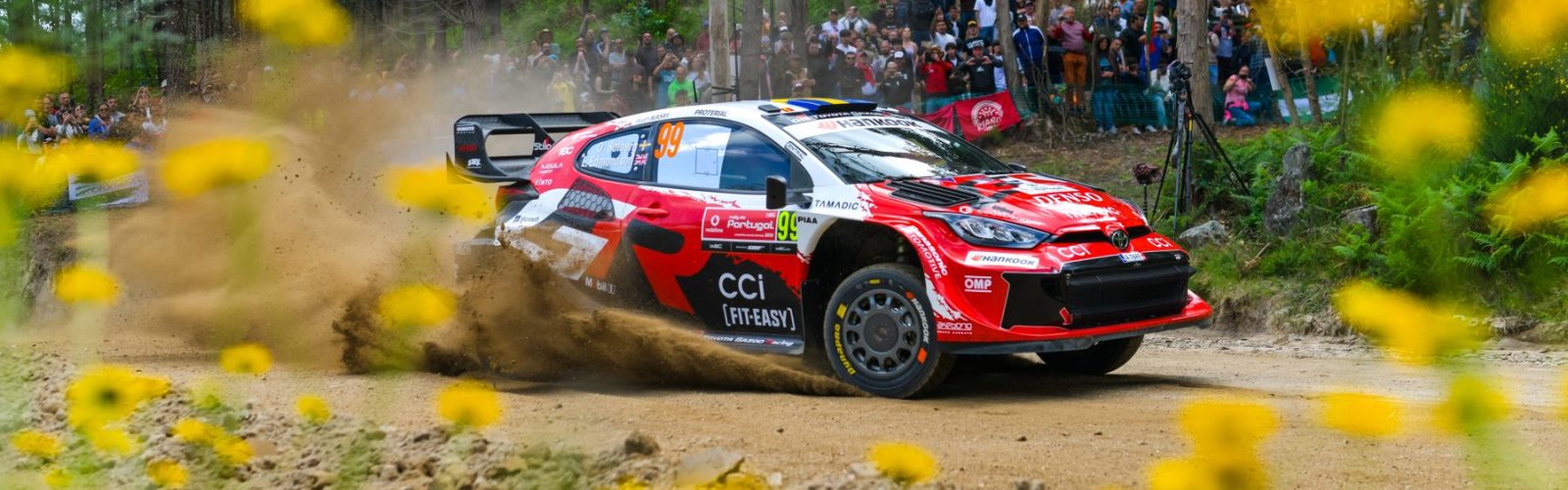 SOLBERG06POR26tb134