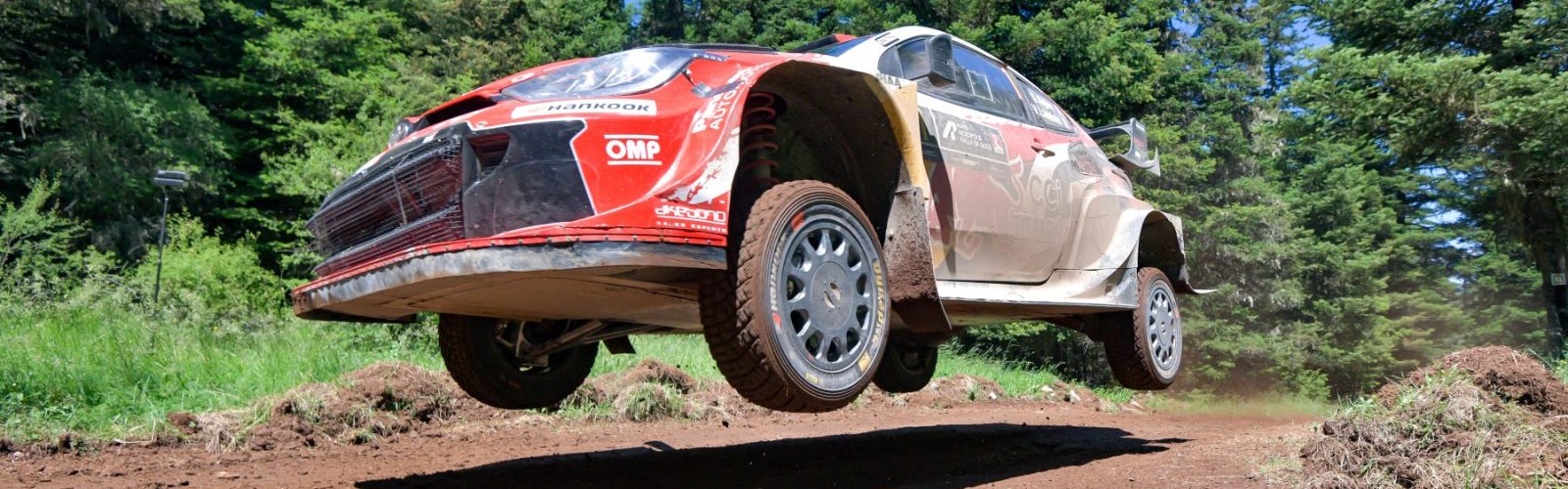 Ogier08GRE26cm106