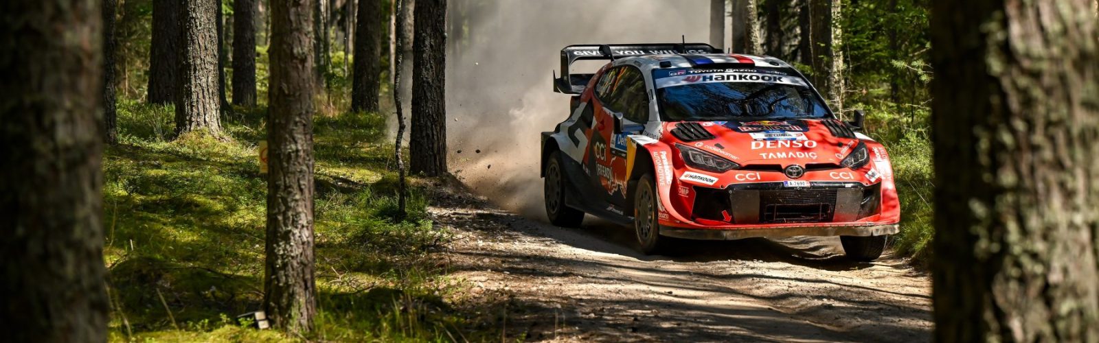 Ogier01EST26cm359